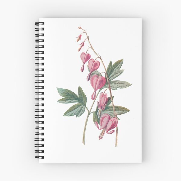 Item preview, Lyre flower, drooping heart-shaped flowers, Bleeding Heart, Plants Print, Original Flower Print, Botanical Antique, Antique print, Foxglove Wall art, Foxglove Flower, Botanical Prints designed and sold by Studio66Designs.