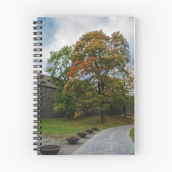 Item preview, tree designed and sold by paolo amiotti.