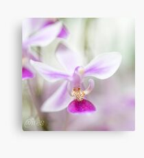 Alighting Canvas Print