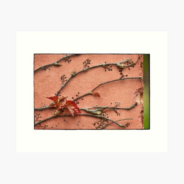 Caught my eye Art Print