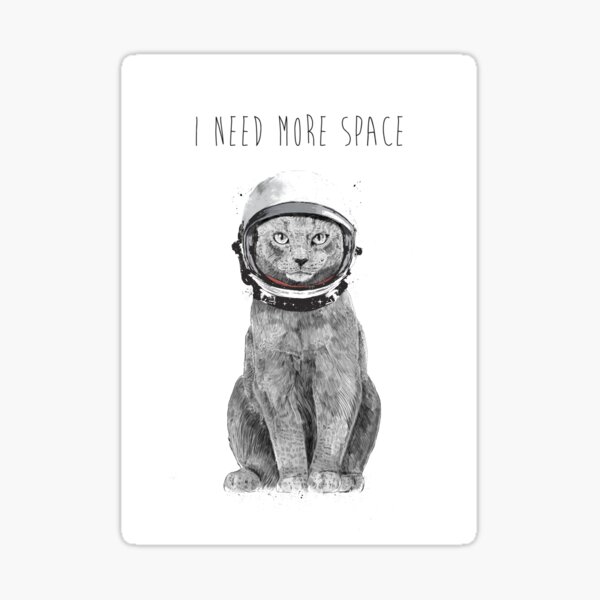 Aperçu de l'œuvre J ai besoin de plus d espace créée et vendue par soltib.