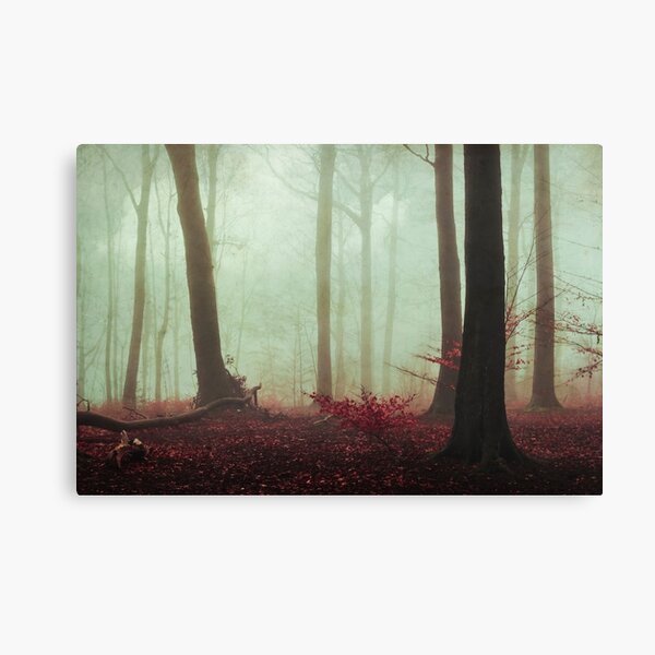 Spirit of Silence II - Bosque tranquilo en la niebla Lienzo
