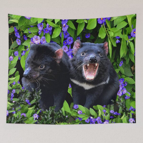 Item preview, AUSTRALIAN TASMANIAN DEVIL designed and sold by Barbara Jean Photo Art And Design.