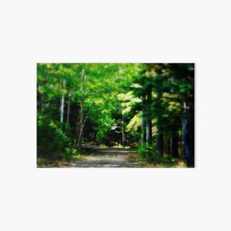 The road to the treasure Art Board Print