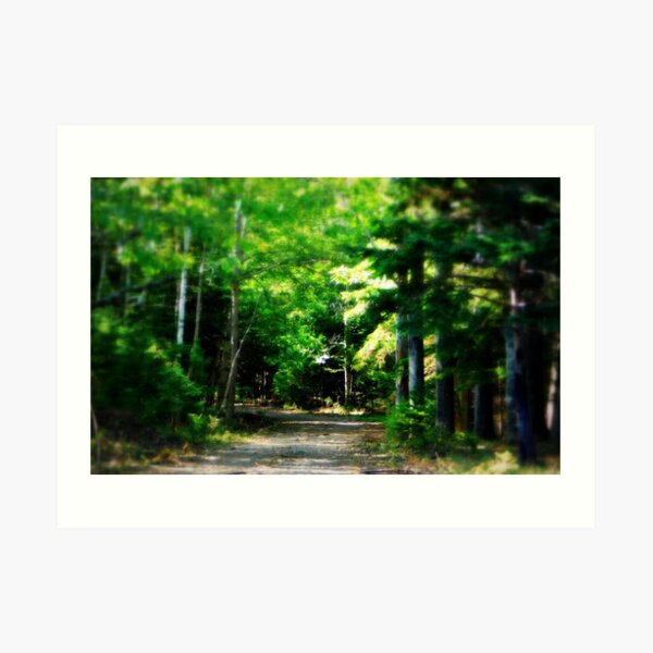 The road to the treasure Art Print
