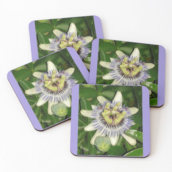 Item preview, passionflower designed and sold by Joanne Babb.