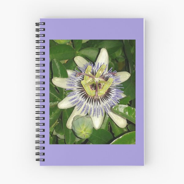 Item preview, passionflower designed and sold by Joanne Babb.
