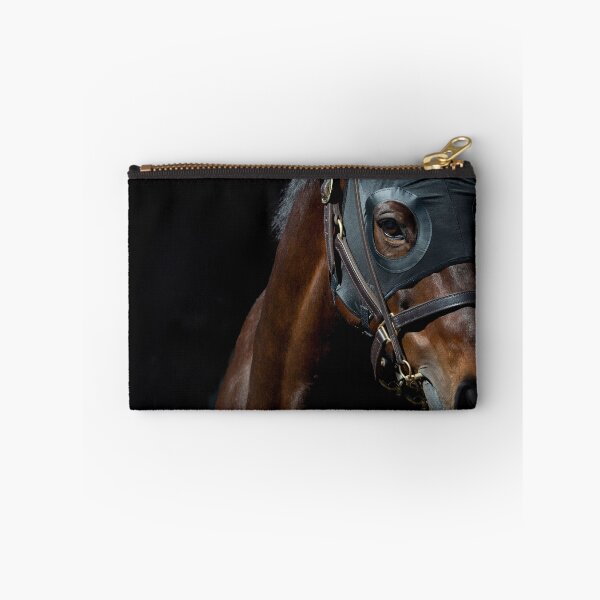 Aperçu de l'œuvre Winx - Avec Capuche créée et vendue par FastTrackPhotog.