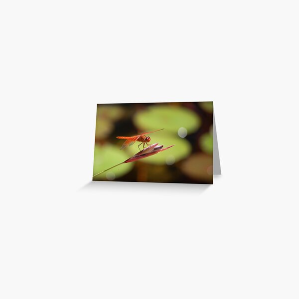 Natural Jewel II Greeting Card