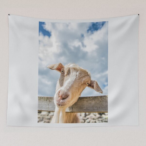 Item preview, #105 The Pet Goat at Manor Organic Farm designed and sold by phutball.