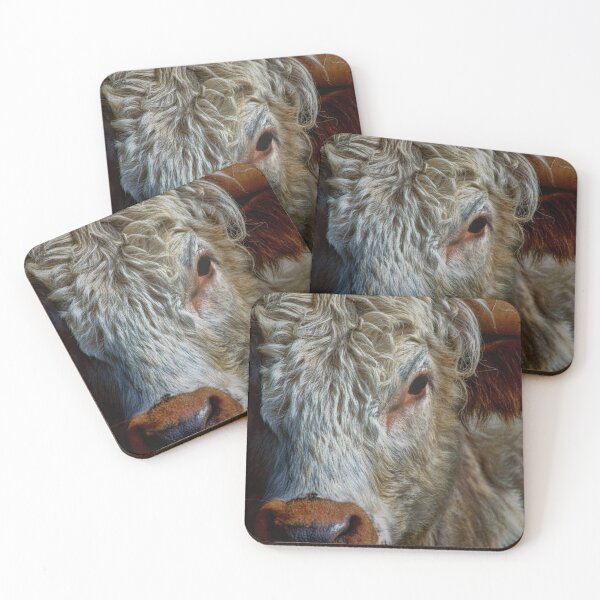 Item preview, #106 Longhorn Cow at manor Organic Farm designed and sold by phutball.