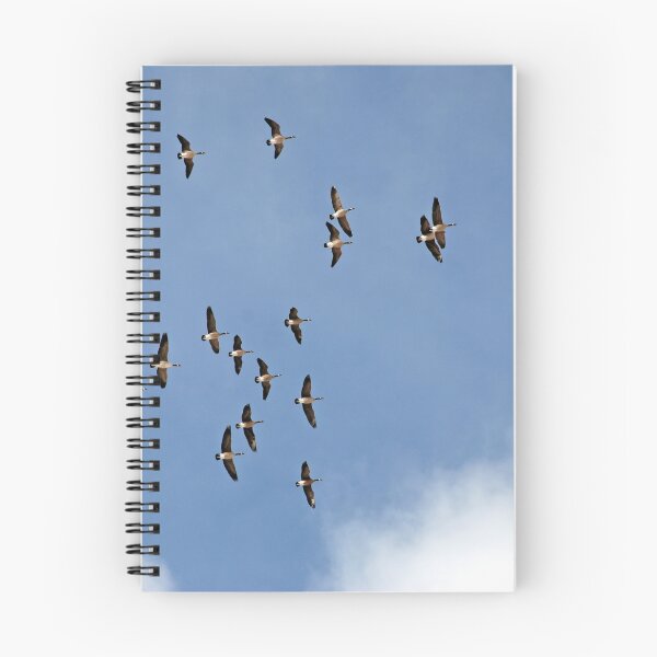 Item preview, Look Up!  designed and sold by fishinmusician.