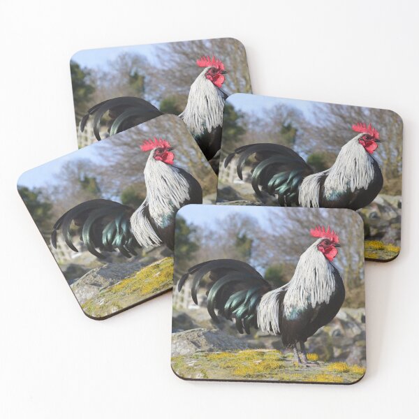 Item preview, #107 Sid the Batam chicken designed and sold by phutball.