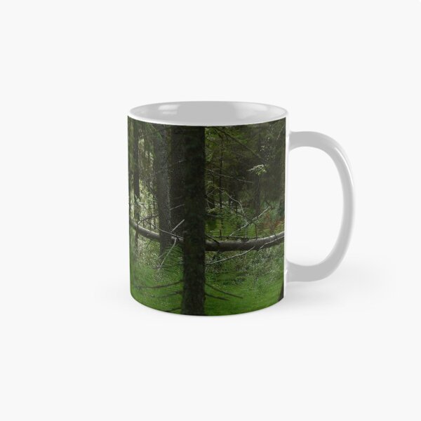 Item preview, Wetland of coniferous forest in thickets of green horsetail with fallen trunks of dry fir trees in the light of the morning sun designed and sold by yarvin13.