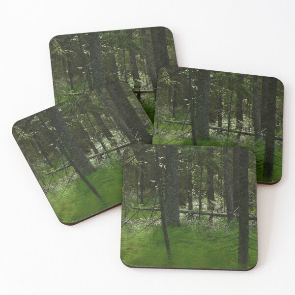 Item preview, Wetland of coniferous forest in thickets of green horsetail with fallen trunks of dry fir trees in the light of the morning sun designed and sold by yarvin13.