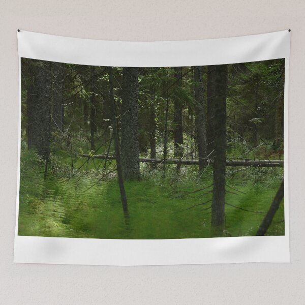 Item preview, Wetland of coniferous forest in thickets of green horsetail with fallen trunks of dry fir trees in the light of the morning sun designed and sold by yarvin13.