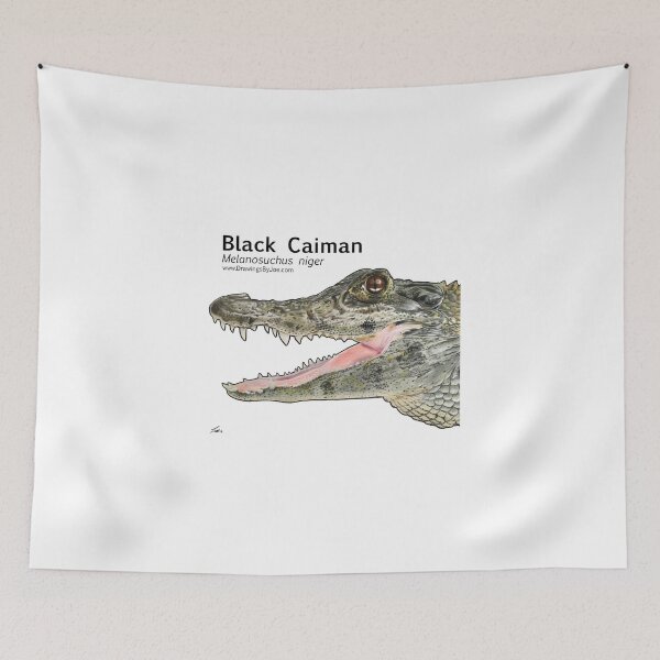 Item preview, Black Caiman designed and sold by Joe Richichi.