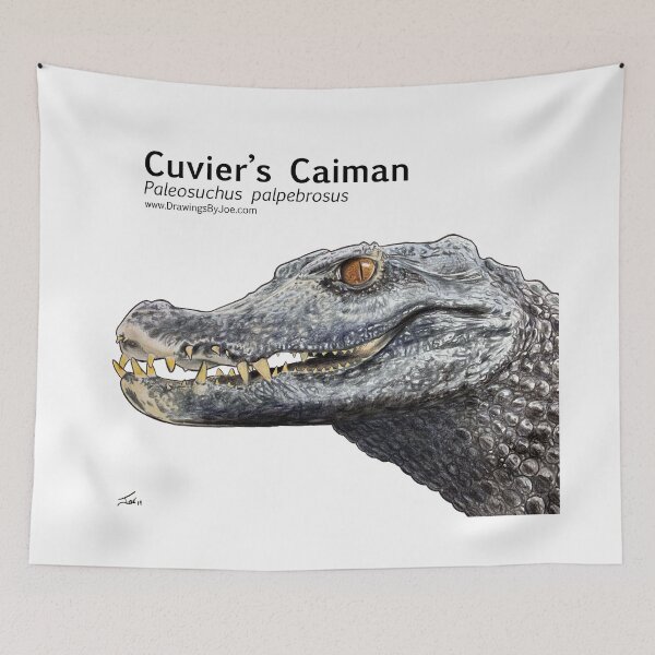 Item preview, Cuvier's Caiman designed and sold by Joe Richichi.