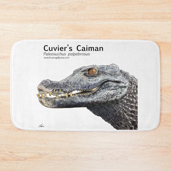Item preview, Cuvier's Caiman designed and sold by Joe Richichi.