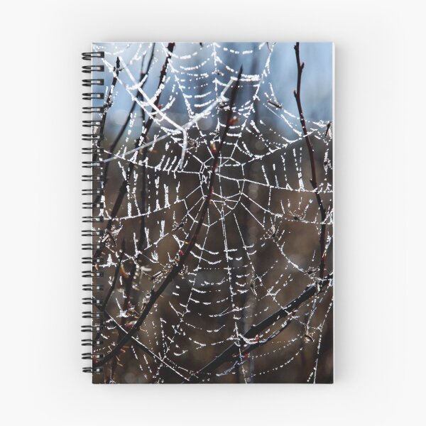 Item preview, frosty web designed and sold by fishinmusician.