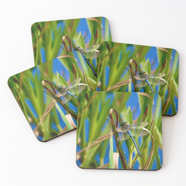 Item preview, Dragon Fly designed and sold by Sunset Photography by Andy Cooper.