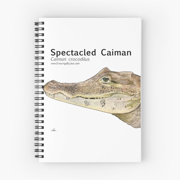 Item preview, Spectacled Caiman designed and sold by Joe Richichi.