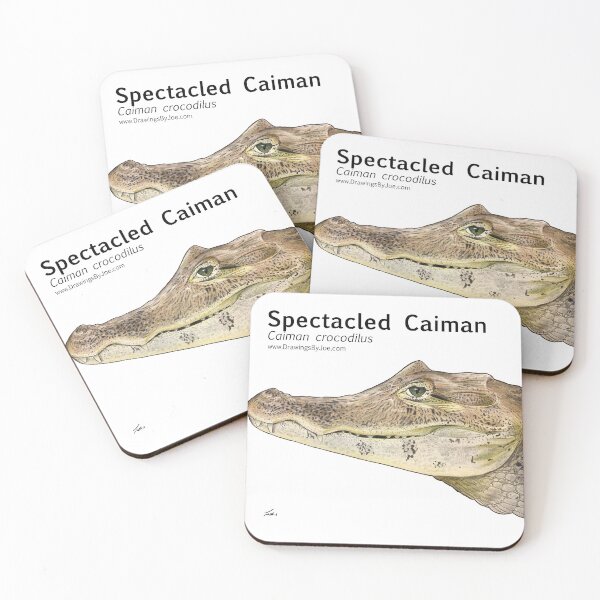 Item preview, Spectacled Caiman designed and sold by Joe Richichi.