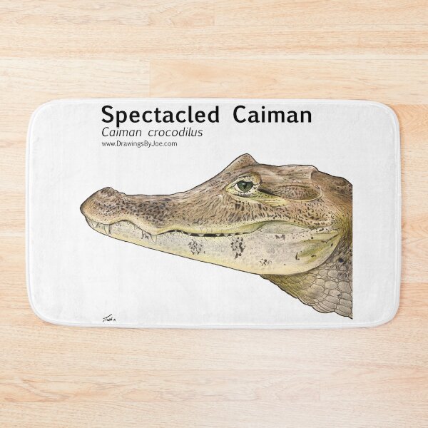 Item preview, Spectacled Caiman designed and sold by Joe Richichi.
