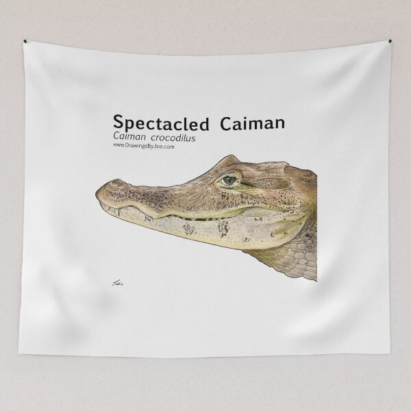 Item preview, Spectacled Caiman designed and sold by Joe Richichi.