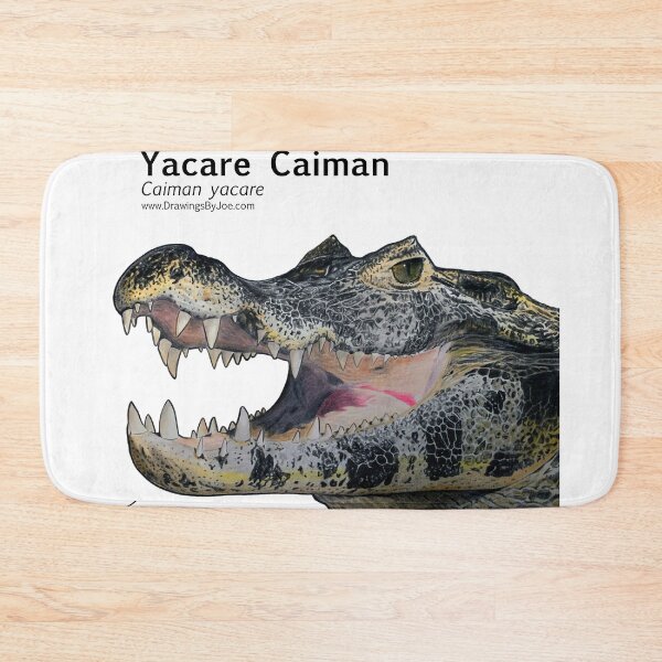 Item preview, Yacare Caiman designed and sold by Joe Richichi.