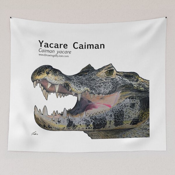 Item preview, Yacare Caiman designed and sold by Joe Richichi.