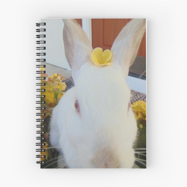 Item preview, Cutest bunny designed and sold by customart123.