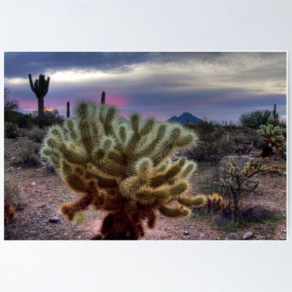 Item preview, Sonoran Sunrise designed and sold by Sue  Cullumber.