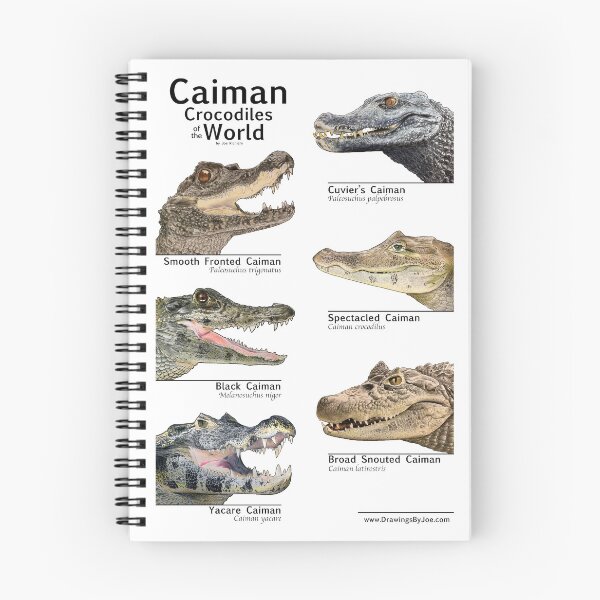 Item preview, Caimans of the World designed and sold by Joe Richichi.