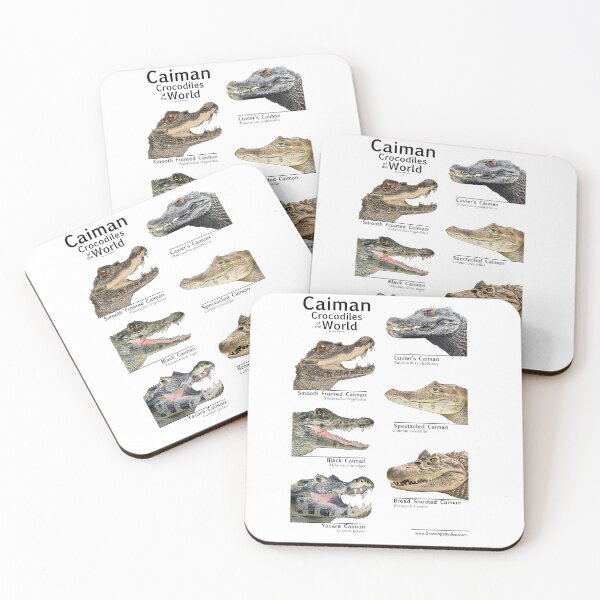 Item preview, Caimans of the World designed and sold by Joe Richichi.