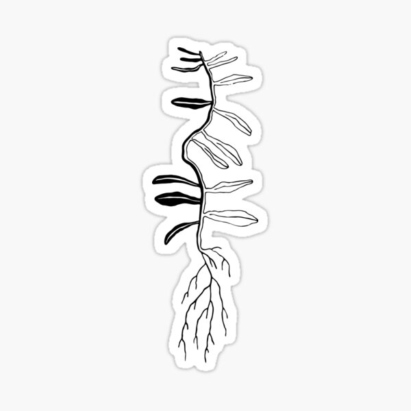"Seedling" Sticker