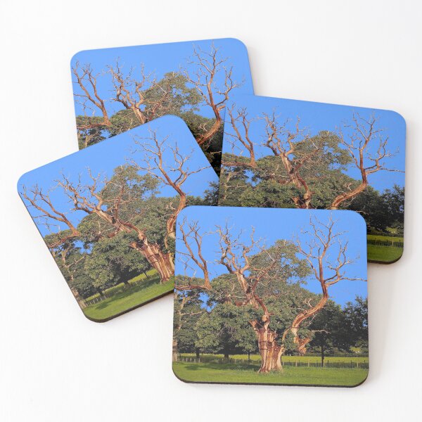 Item preview, Lightning Tree after the rain designed and sold by Sunset Photography by Andy Cooper.