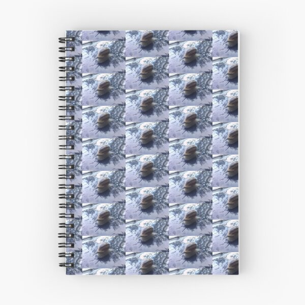 Item preview, snail over a blue car-2 designed and sold by walterfest.