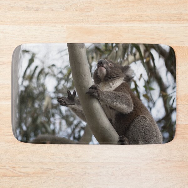 Item preview, Koala - Moving On Up designed and sold by imaginethis.