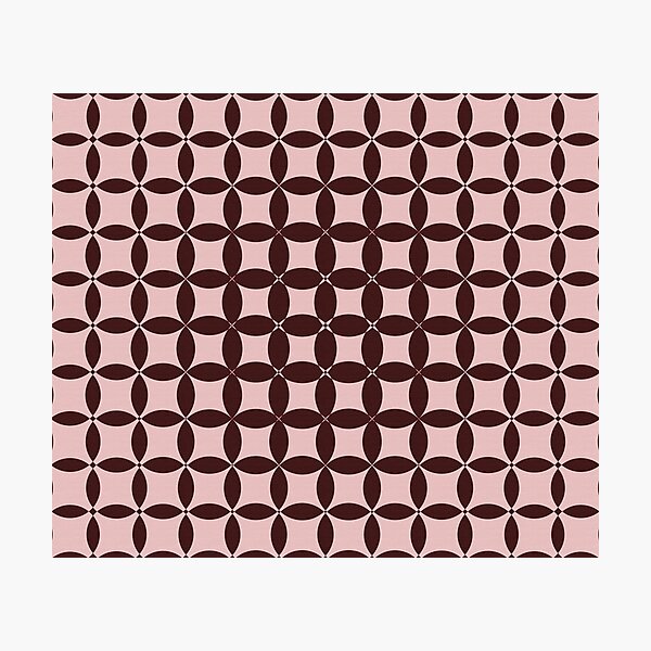 Lazy Blanket Photographic Print
