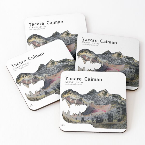 Item preview, Yacare Caiman designed and sold by Joe Richichi.