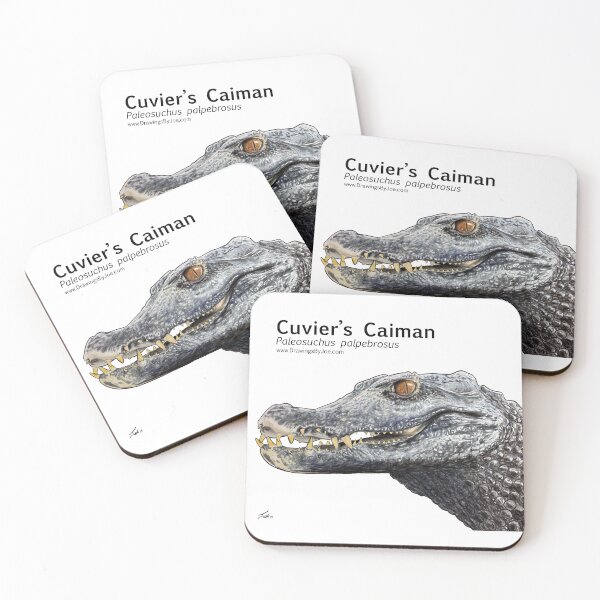 Item preview, Cuvier's Caiman designed and sold by Joe Richichi.