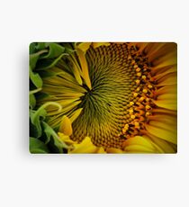 Close Contact Canvas Print