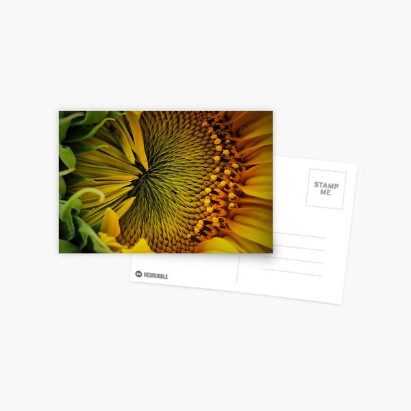 Close Contact Postcard