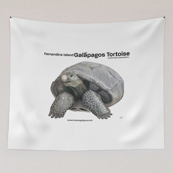 Item preview, Fernandina Island Galapagos Tortoise designed and sold by Joe Richichi.