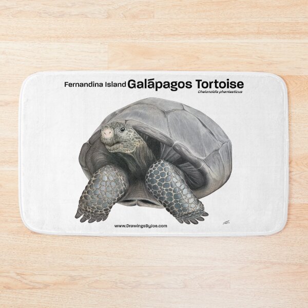 Item preview, Fernandina Island Galapagos Tortoise designed and sold by Joe Richichi.