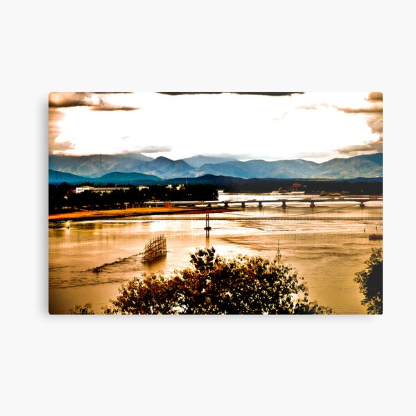 Bird eyes view Metal Print