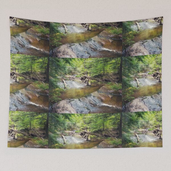 Item preview, Waterslide at Union Mine Trail, Porcupine Mountains Wilderness State Park designed and sold by J Rier Photography.