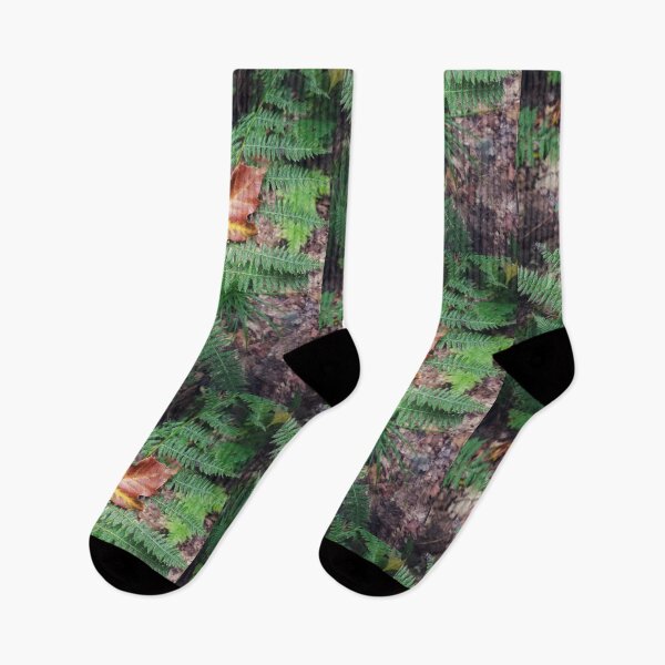 Item preview, Early autumn color - maple leaf and fern designed and sold by J Rier Photography.