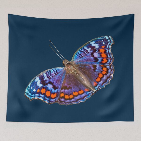 Artikelvorschau, Geschenkidee Foto blauer exotischer Schmetterling entworfen und verkauft von Katja LebenFreude.